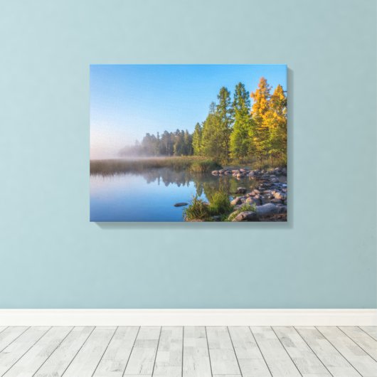 Itasca State Park, Minnesota Canvas Afdruk (Insitu (Houten vloer))