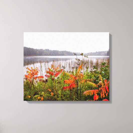 Itasca State Park | Minnesota Canvas Afdruk (Voorkant)