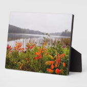 Itasca State Park | Minnesota Fotoplaat (Zijkant)