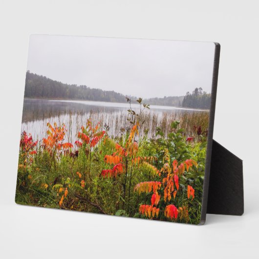 Itasca State Park | Minnesota Fotoplaat (Zijkant)