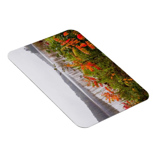 Itasca State Park | Minnesota Magneet (Rechterzijde)