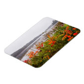 Itasca State Park | Minnesota Magneet (Linkerzijde)