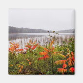 Itasca State Park | Minnesota Magneet (Voorkant)