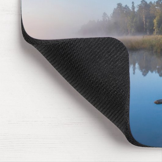 Itasca State Park, Minnesota Muismat (Hoek)