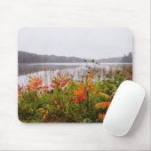 Itasca State Park | Minnesota Muismat (Met muis)