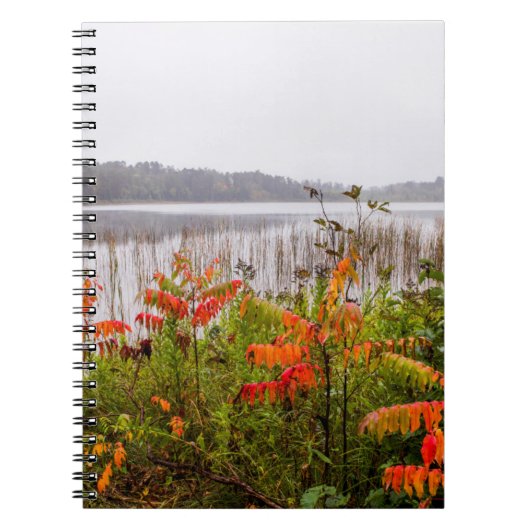 Itasca State Park | Minnesota Notitieboek (Voorkant)