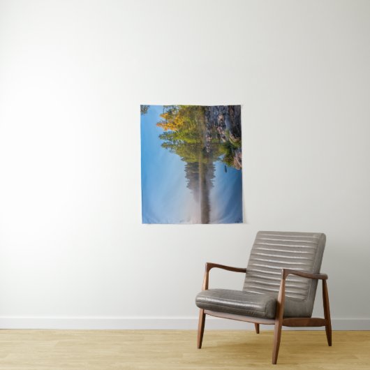 Itasca State Park, Minnesota Wandkleed (In situ)