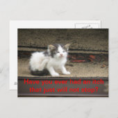 Itchy Kitten Briefkaart (Voorkant / Achterkant)