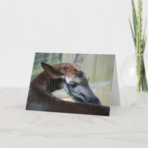 "Itchy Okapi"-Wenskaart Kaart