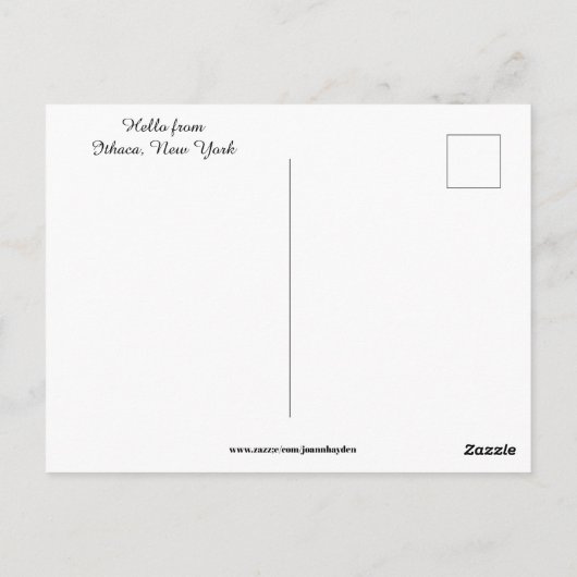 ITHACA NEW YORK BUTTERMILK  FALLS  BRIEFKAART (Achterkant)