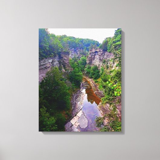 ITHACA NEW YORK GORGE CANVAS AFDRUK (Voorkant)
