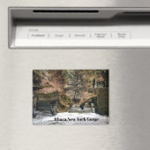 ITHACA NEW YORK GORGE   MAGNEET (Insitu (Vaatwasser))