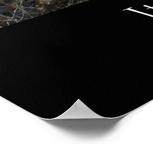 ITHACA NEW YORK GORGE poster (Hoek)