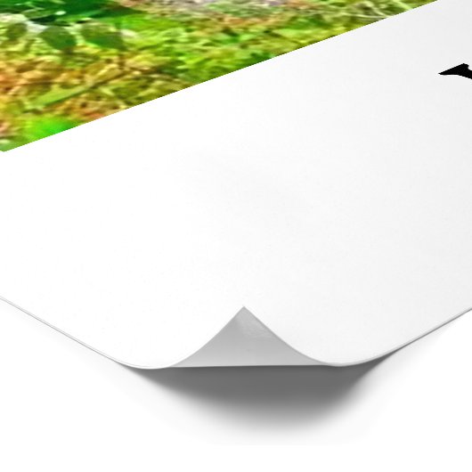 ITHACA NEW YORK GORGE POSTER (Hoek)