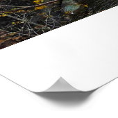 ITHACA NEW YORK GORGE poster (Hoek)