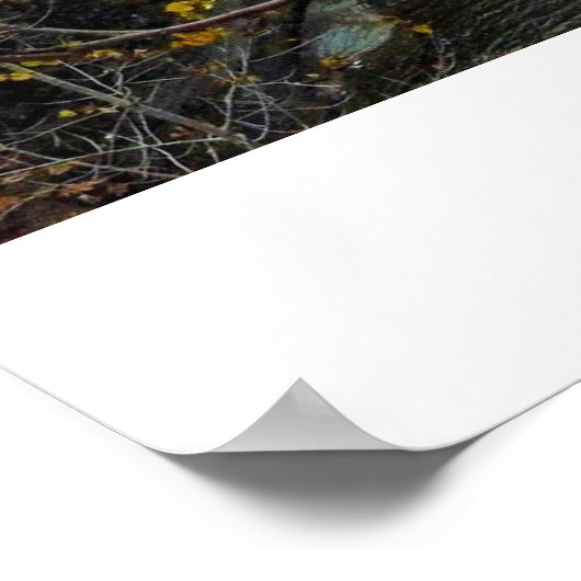 ITHACA NEW YORK GORGE poster (Hoek)