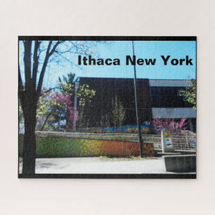 ITHACA NEW YORK LIBRARY LEGPUZZEL