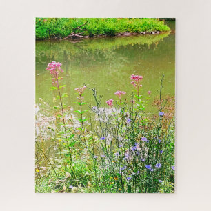 ITHACA NEW YORK NATUUR RESERVE LEGPUZZEL