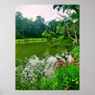 ITHACA NEW YORK NATUUR RESERVE POSTER