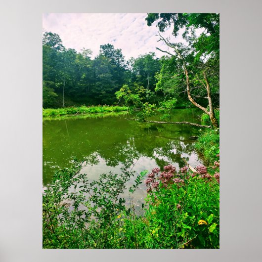 ITHACA NEW YORK NATUUR RESERVE POSTER (Voorkant)