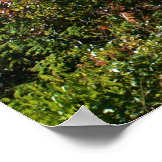 ITHACA NEW YORK OVERLOOK WALL POSTER (Hoek)