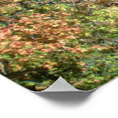 ITHACA NEW YORK WATERFALL poster (Hoek)