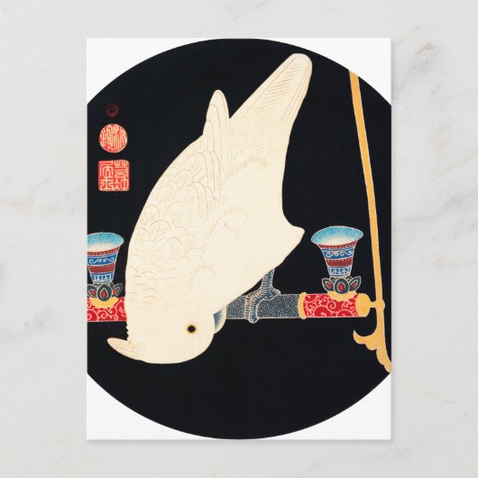Ito Jakuchu A White Macaw Briefkaart (Voorkant)