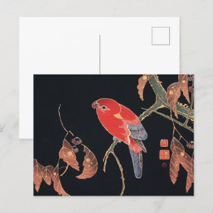 Ito Jakuchu Red Parrot op de tak Japanse kunst Briefkaart