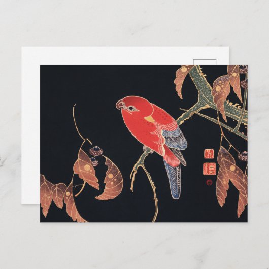 Ito Jakuchu Red Parrot op de tak Japanse kunst Briefkaart (Voorkant / Achterkant)