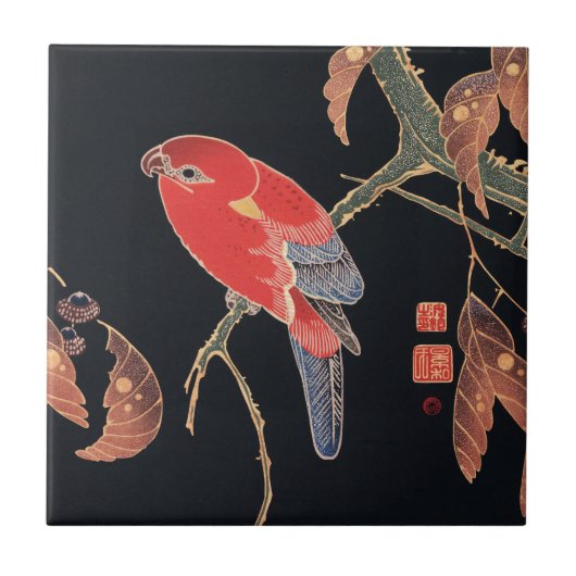 Ito Jakuchu Red Parrot op de tak Japanse kunst Tegeltje (Voorkant)