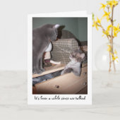 It's been a while since we talked kaart (Gele Bloem)