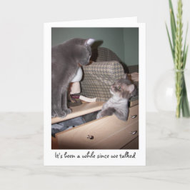 It's been a while since we talked kaart