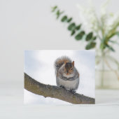 It's Cold Out Here Postcard Briefkaart (Staand voorkant)