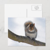 It's Cold Out Here Postcard Briefkaart (Voorkant / Achterkant)