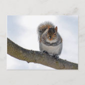 It's Cold Out Here Postcard Briefkaart (Voorkant)