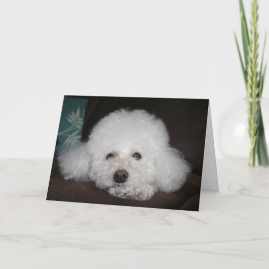 It's going to be okay Dog Card Kaart (Voorkant)