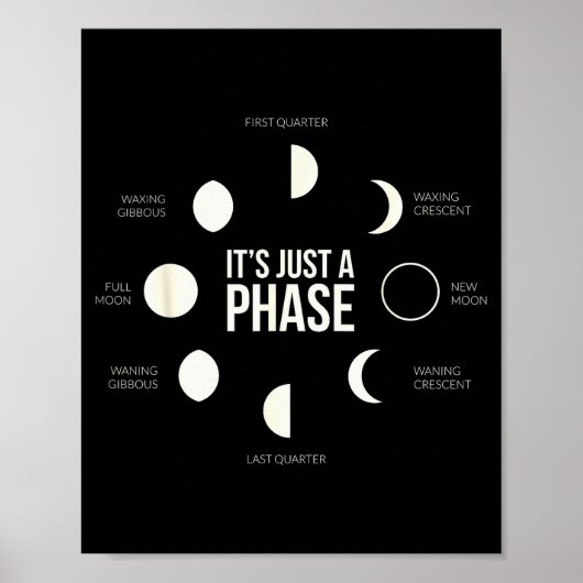 It's Just A Phase Lunar Phases New Moon Earth Hemi Poster (Voorkant)