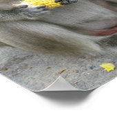 It's Mine!! ... Wild Thai Macaque Monkey Poster (Hoek)