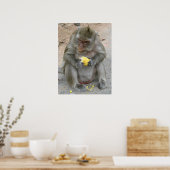 It's Mine!! ... Wild Thai Macaque Monkey Poster (Keuken)