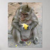 It's Mine!! ... Wild Thai Macaque Monkey Poster (Voorkant)