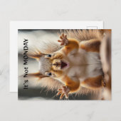 "It's Not Monday" gepersonaliseerde Squirrel Funny Briefkaart (Voorkant / Achterkant)