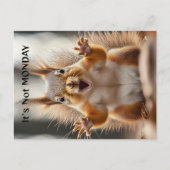 "It's Not Monday" gepersonaliseerde Squirrel Funny Briefkaart (Voorkant)