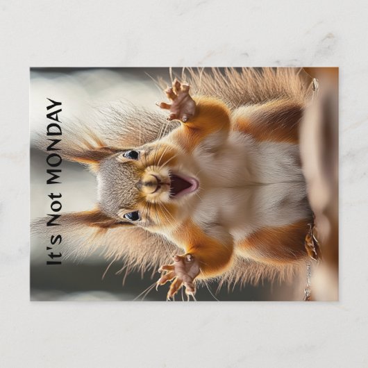 "It's Not Monday" gepersonaliseerde Squirrel Funny Briefkaart (Voorkant)