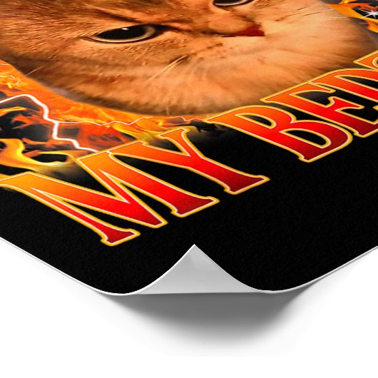 It's Past My Bedtime Funny Cat Meme Animals Humor  Poster (Hoek)