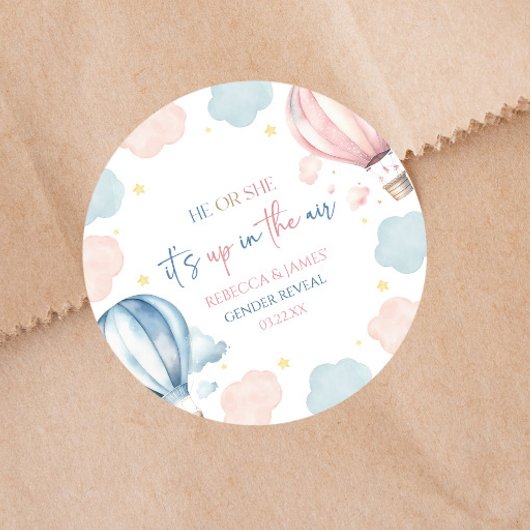 It's Up In The Air Hot Air Balloon Gender Reveal Ronde Sticker