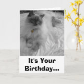 It's Your Birthday. Kaart (Gele Bloem)