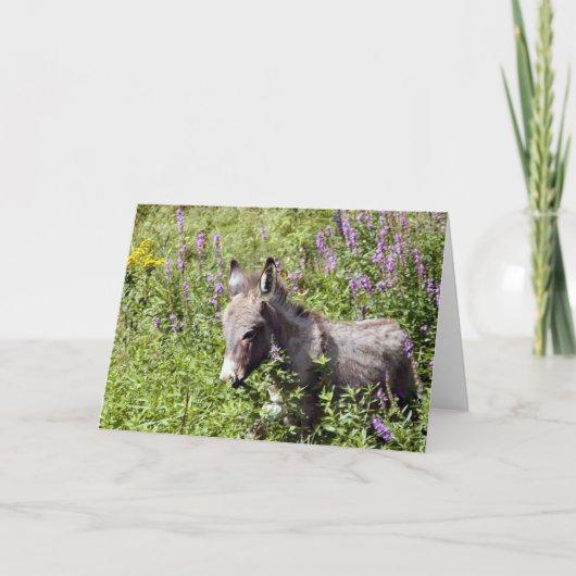 Itsy Kaart (Voorkant)