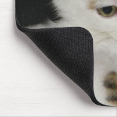 ITTY BITTY KAT ALL IN WHITE MUISMAT (Hoek)