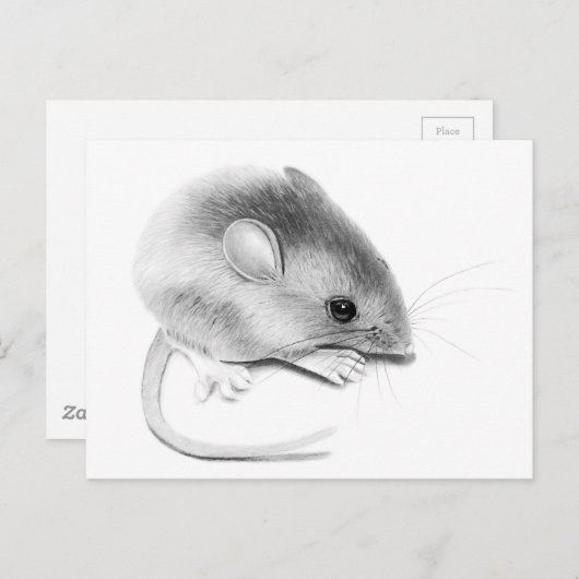Itty Bitty Mouse Briefkaart (Voorkant / Achterkant)