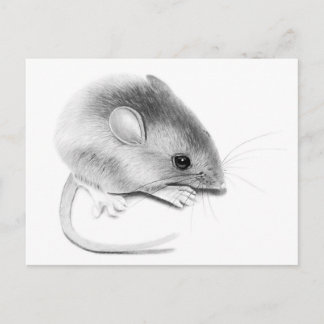 Itty Bitty Mouse Briefkaart